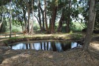 Ullals de Baltasar Ullals de Baltasar